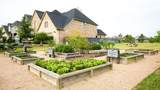 223 Mandarin Mist Street - Photo 10