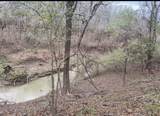 Lot 3 Cr 112 - Photo 4