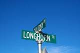 5625 Longhorn Trail - Photo 16