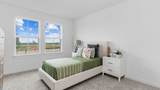 31323 Joshua Knoll Lane - Photo 5