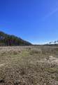 925 County Line Road - Photo 7
