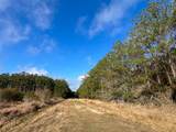 0 Highway 12/ Linscomb Road - Photo 10