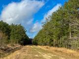 0 Highway 12/ Linscomb Road - Photo 11