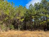 0 Highway 12/ Linscomb Road - Photo 12