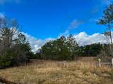 0 Highway 12/ Linscomb Road - Photo 13
