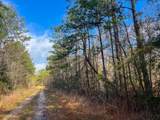 0 Highway 12/ Linscomb Road - Photo 4