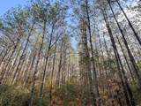 0 Highway 12/ Linscomb Road - Photo 8
