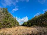 0 Highway 12/ Linscomb Road - Photo 9