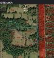 1325 County Road 2650 - Photo 4