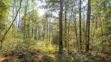 000 Bighorn Road - Photo 20