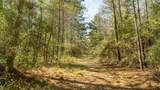 000 Bighorn Road - Photo 21