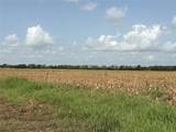 00 County Road 226 - Photo 7