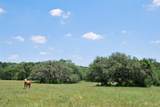 2116 Langdon Road - Photo 4