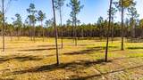 0019 Big Buck Drive - Photo 5