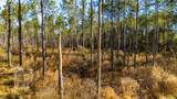 0019 Big Buck Drive - Photo 7