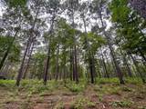 5.5 Arledge Trail/Off Gateway Meadows - Photo 21