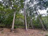 5.5 Arledge Trail/Off Gateway Meadows - Photo 24