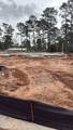 16863 Deep Wingbeat Way - Photo 13