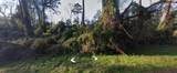 Lot 52 Overcup Drive - Photo 6