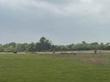0080 County Road 415 - Photo 17