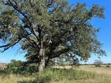 0080 County Road 415 - Photo 26