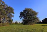 0080 County Road 415 - Photo 5