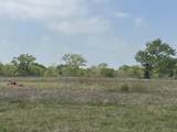0080 County Road 415 - Photo 6