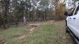 0 Mourning Dove - Photo 2