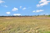 25751 Jack Road - Photo 6