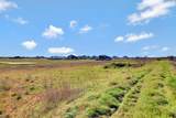25751 Jack Road - Photo 9