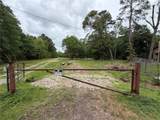 14067 Tower Glen Drive - Photo 7