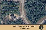 231 Iron Horse Road - Photo 1