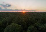 231 Iron Horse Road - Photo 11