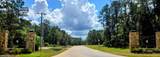 231 Iron Horse Road - Photo 12
