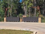 231 Iron Horse Road - Photo 13