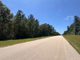 231 Iron Horse Road - Photo 3