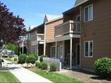 703 Quince Street - Photo 4