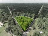 26807 Royal Oak Drive - Photo 12