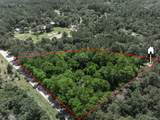 26807 Royal Oak Drive - Photo 16