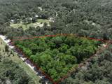 26807 Royal Oak Drive - Photo 2