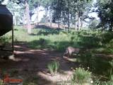 601 Darby Road - Photo 15
