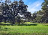 FM 521 Barx Ranch Sec 17 Blk 3 - Photo 4