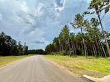10790 Ruger Rd - Photo 13
