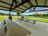 10790 Ruger Rd - Photo 17