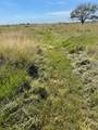 17002 Brumbelow Road - Photo 5