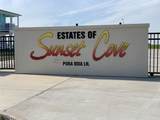 3923 Curlew Drive - Photo 9