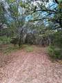 32 Acres Dunlavy - Photo 12