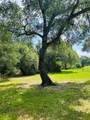 32 Acres Dunlavy - Photo 2