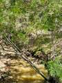32 Acres Dunlavy - Photo 5