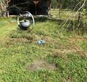 4936 Birch Street - Photo 1